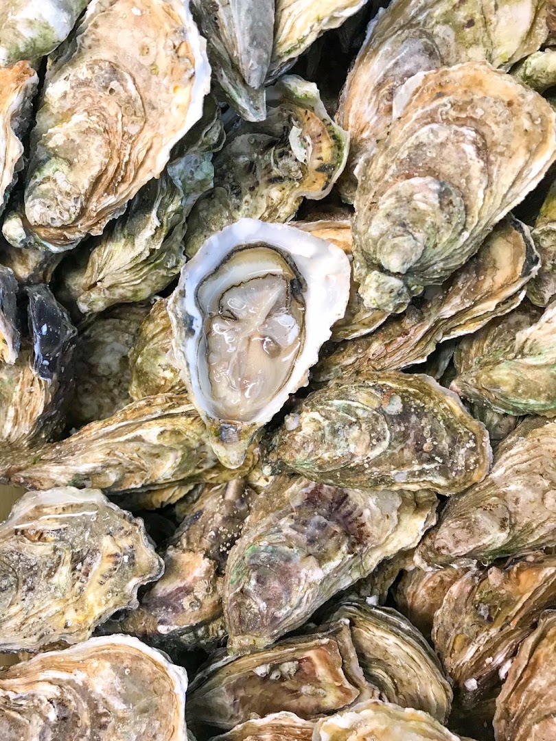 POISSONNERIE COTE MER Père et Fille FORT MAHON PLAGE · Photos 7